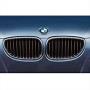 Image of Performance Black Kidney Grille Left. image for your 2014 BMW 528i   